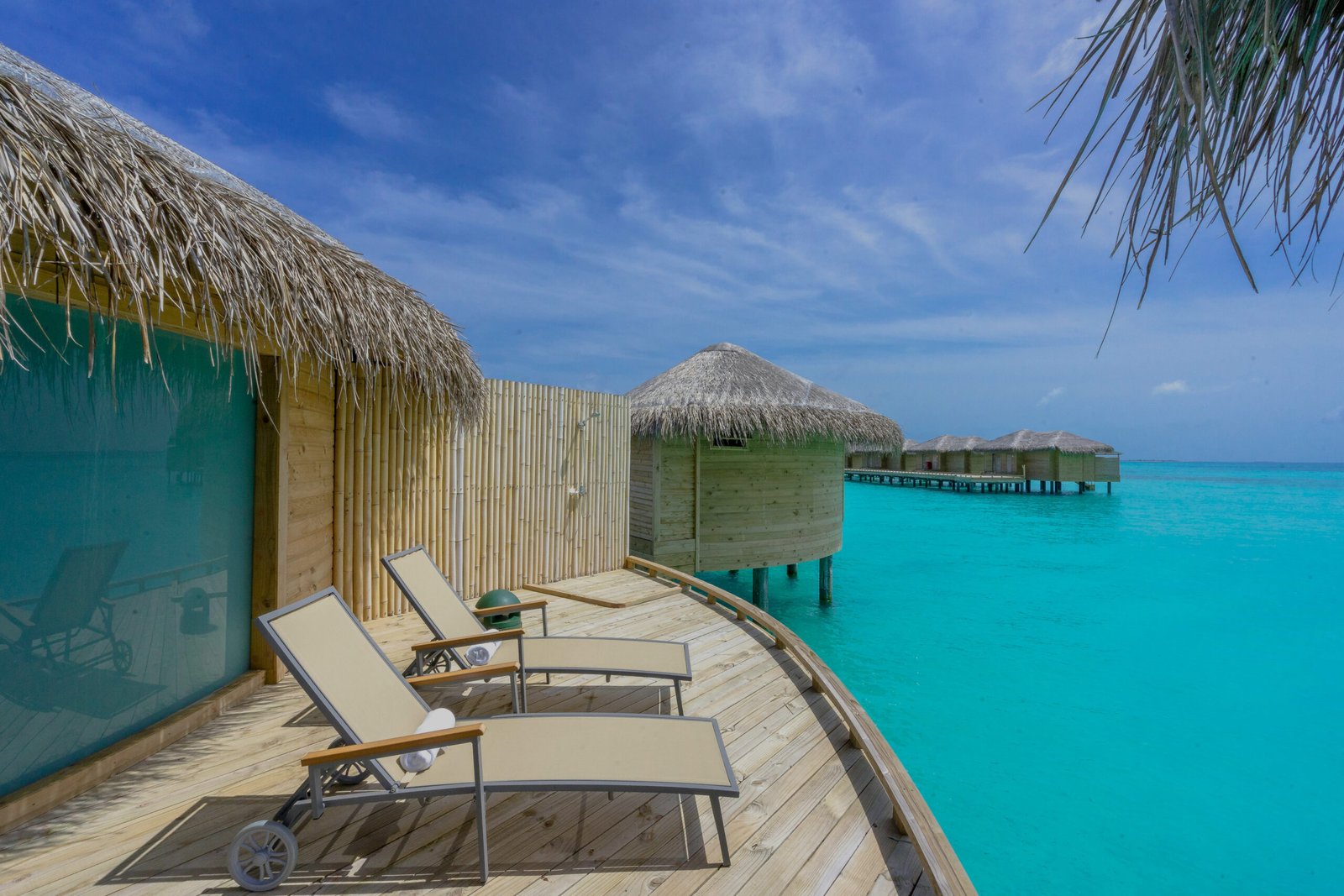A hotel in Zanzibar 20% opacity