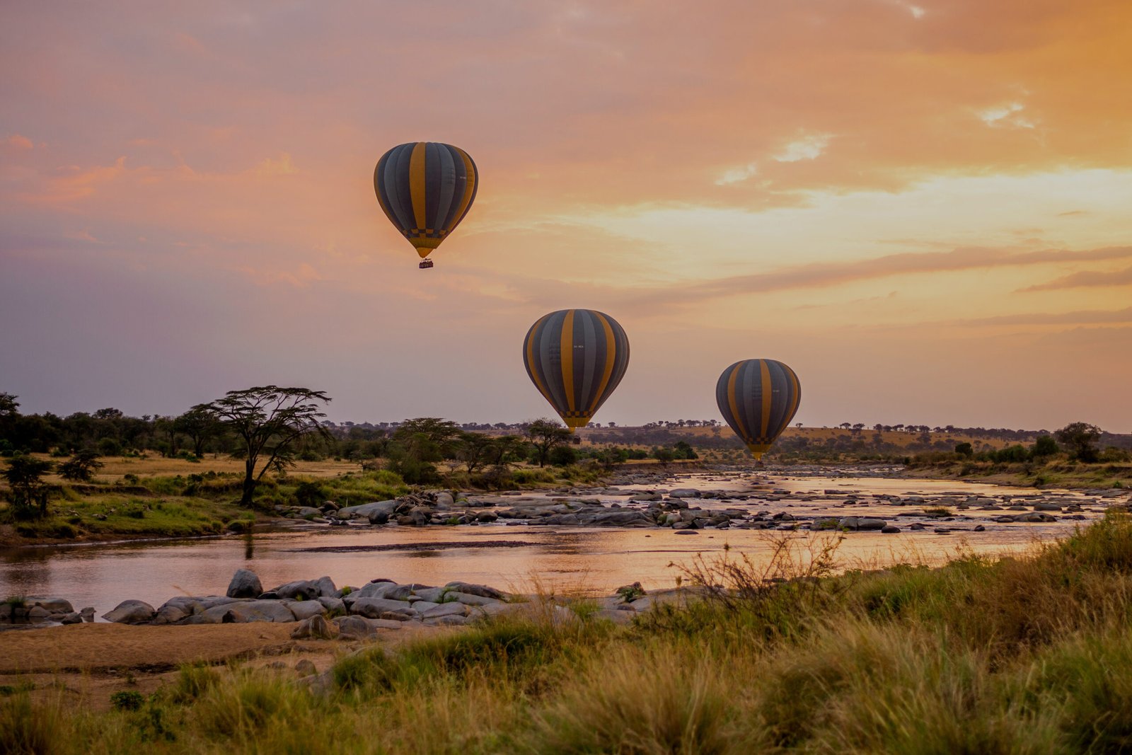 Hot air balloons flying in the Tarangire 20% opacity